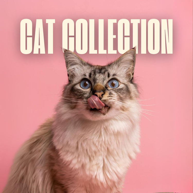 Cat Collection