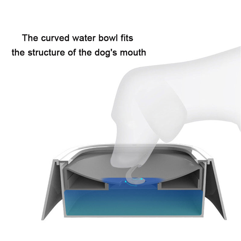 Dog Drinking Water