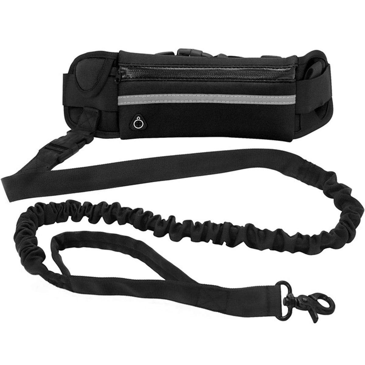 Dog Leash for Running Walking