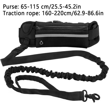 Dog Leash for Running Walking