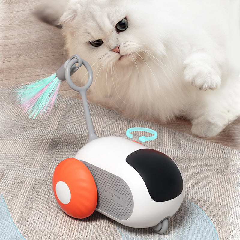 Electric Cat Toys