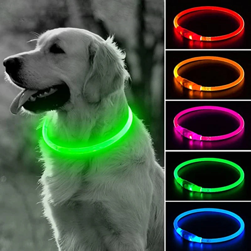 Led Dog Collar Luminous