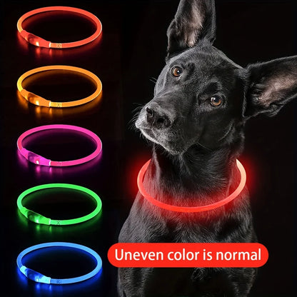 Led Dog Collar Luminous