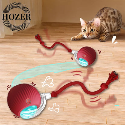 Cat Interactive Ball Toys