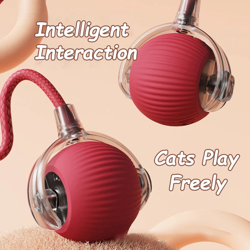 Cat Interactive Ball Toys