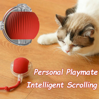 Cat Interactive Ball Toys