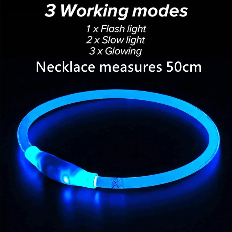 Led Dog Collar Luminous