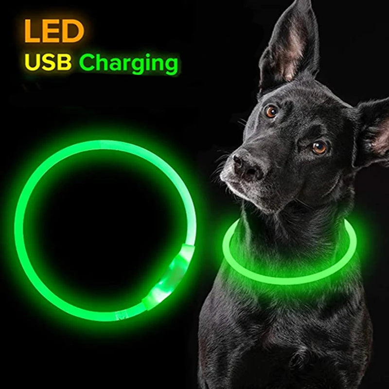 Led Dog Collar Luminous