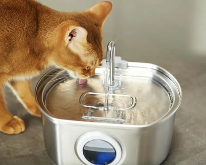 Pet Water Fountain