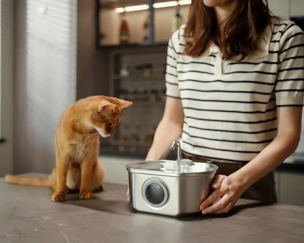 Pet Water Fountain