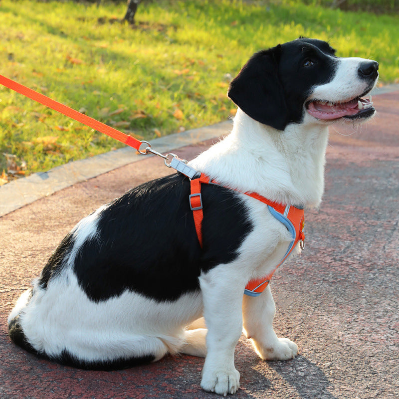 Pet Harness Vest Walking