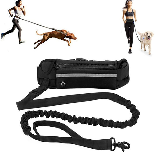 Dog Leash for Running Walking