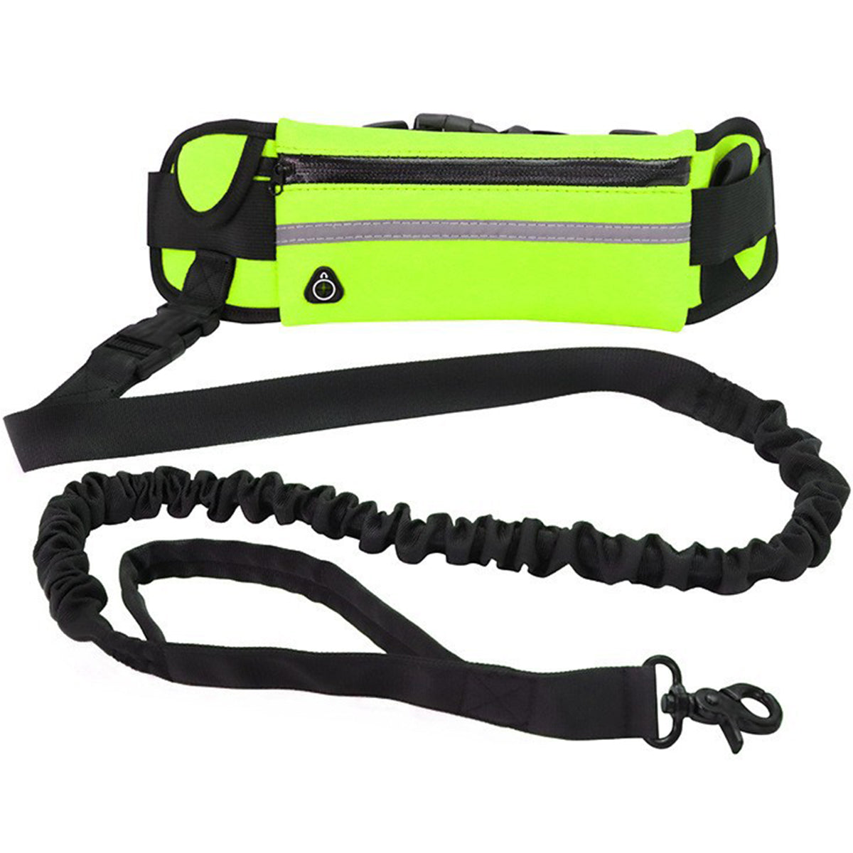 Dog Leash for Running Walking